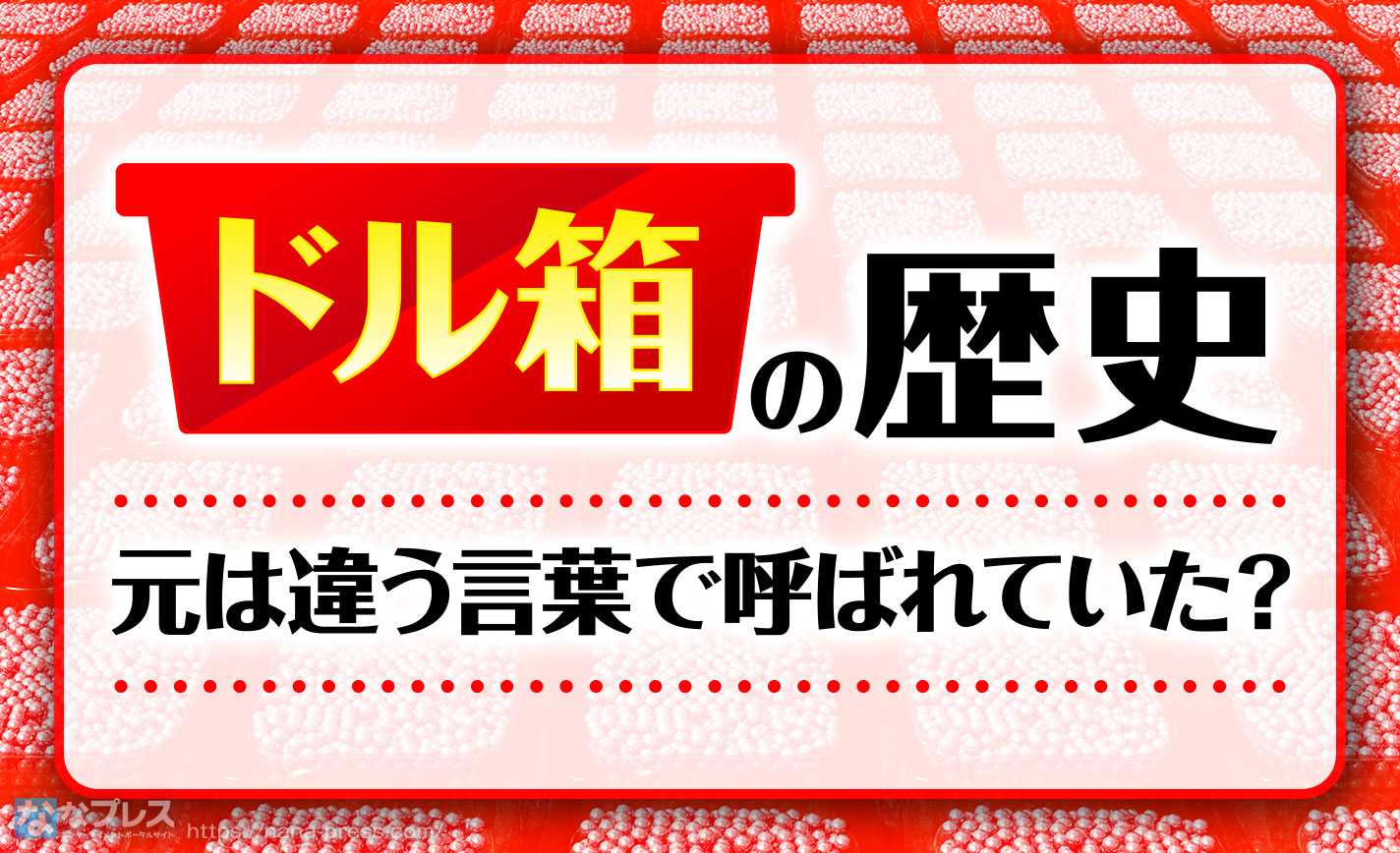 mame_20230428_4_ec_01.jpg